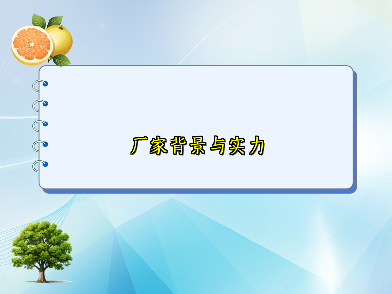 厂家背景与实力