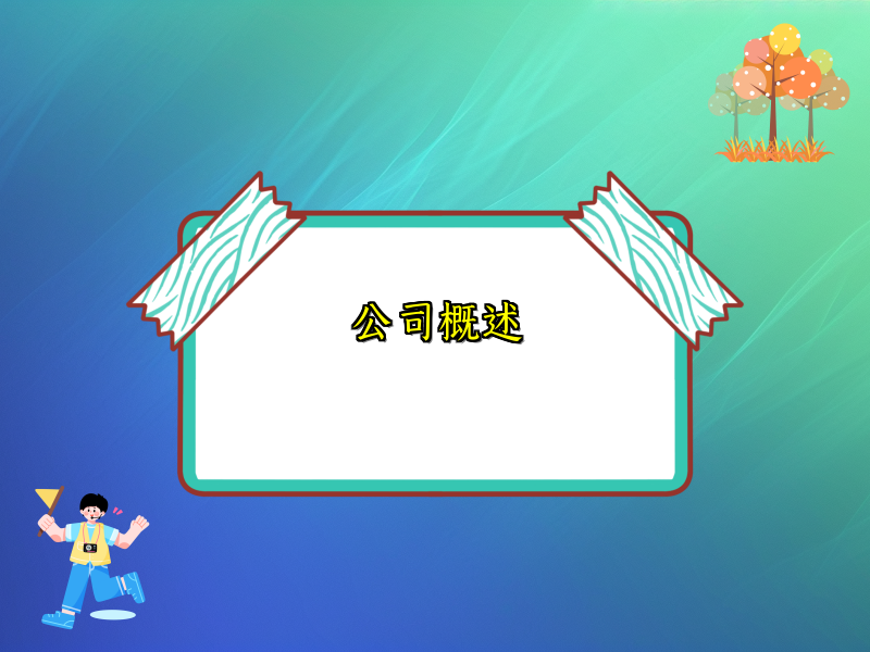 公司概述