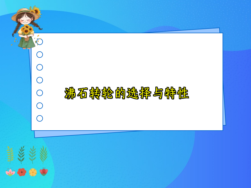 沸石转轮的选择与特性