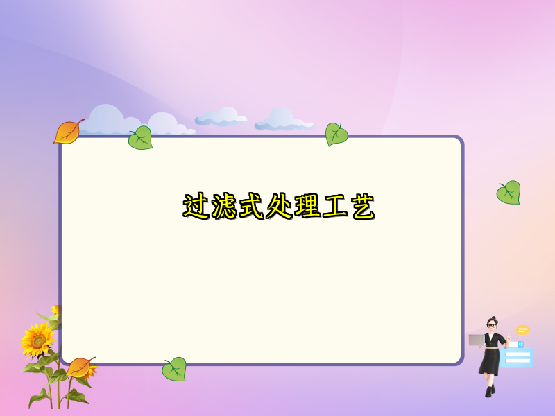 过滤式处理工艺